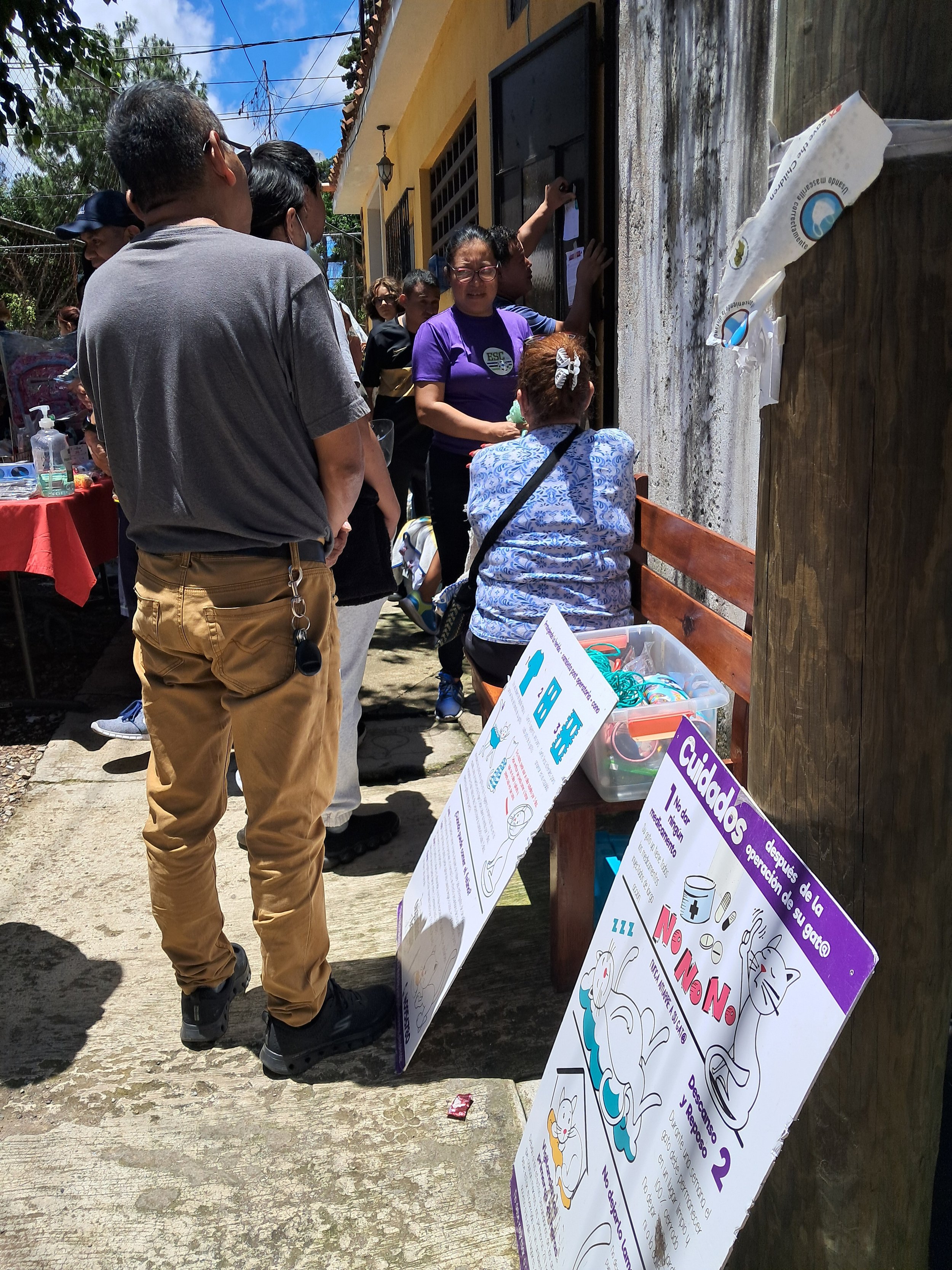  Existen iniciativas de bajo costo para el control de la natalidad de perros y gatos. Foto: Violeta Cetino 